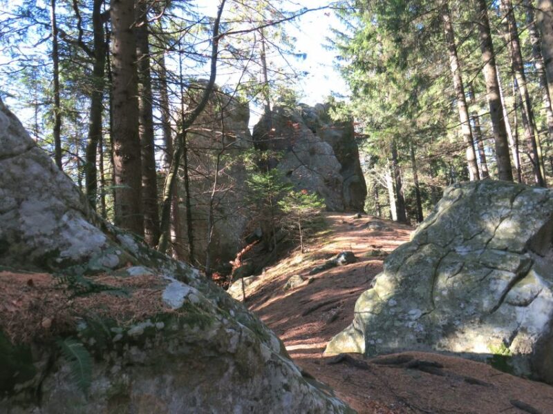 Gura Humorului:Day trip with multiple activities - Horse Carriage Ride with Cold Beer and Forest Strolls