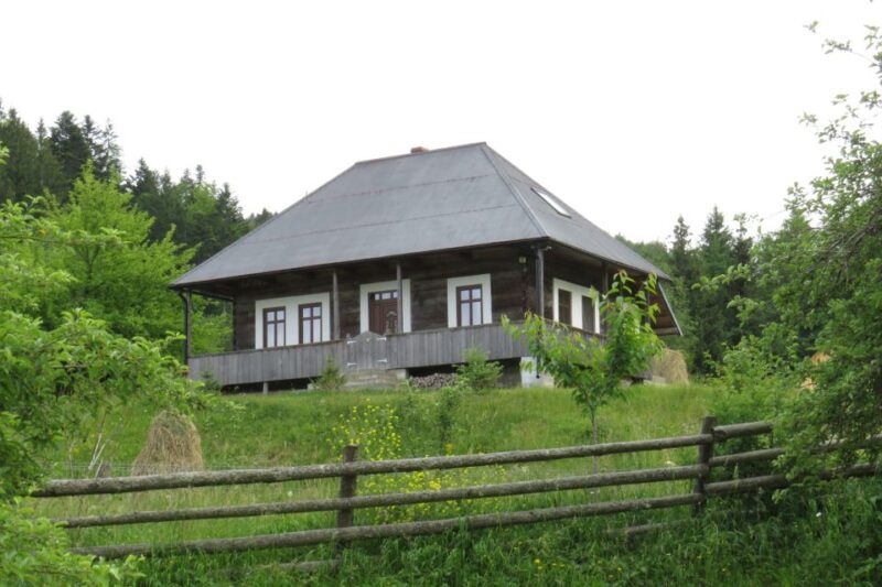 Gura Humorului:Day trip with multiple activities - Exploring Traditional Houses and Old Craftsmanship