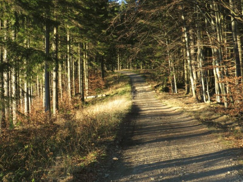 Gura Humorului:Day trip with multiple activities - Tasting Local Eco-Food and House-Made Drinks