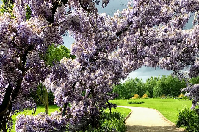 Haarlem Old Town Private Walking Tour - The Mysterious Malle Babbe Sculpture and Local Myths