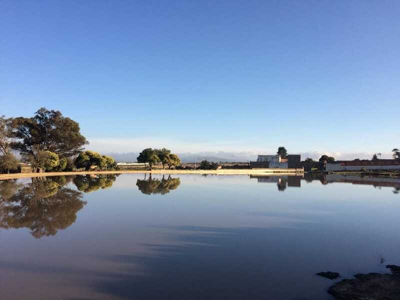 Hacienda Tochatlaco: historical visit, inside the main house - Accessibility and Practical Tips for Visitors