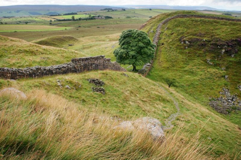 Hadrian's Wall: 4.5-Hour Guided Tour - Pacing, Duration, and Group Size