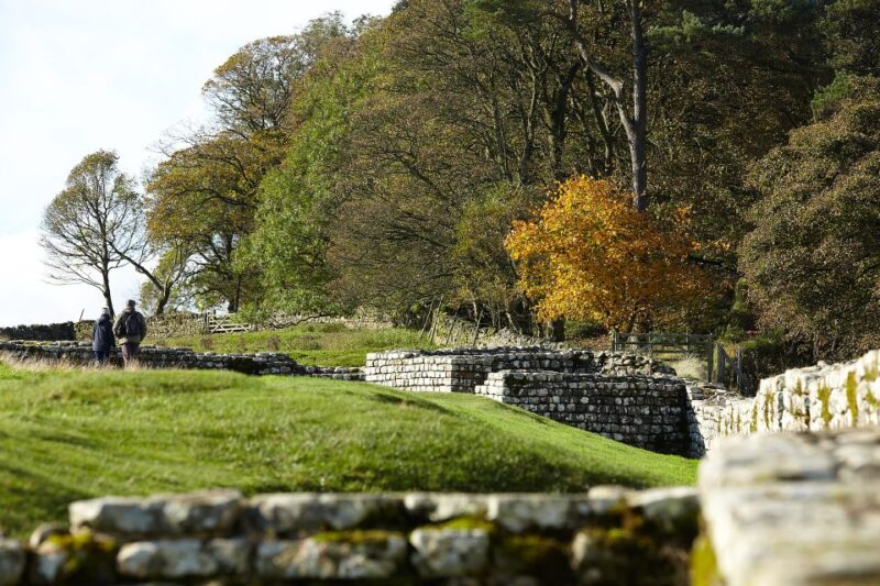 Hadrian's Wall: Housesteads Roman Fort Entry Ticket - What to Expect During Your Visit