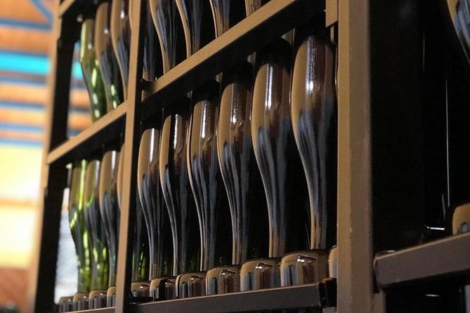 Haft-day Winery tour from Zaragoza - Tasting Experience: Local Wines and Cava Included