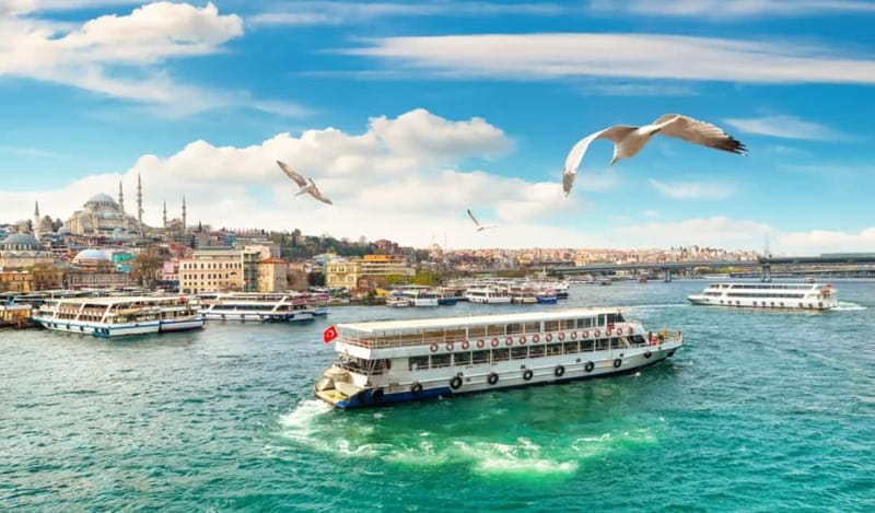 Hagia Sophia, Bosphorus cruise Blue Mosque, Small Group tour - Discover Istanbul’s Historic Landmarks and Scenic Views in a Small Group Tour
