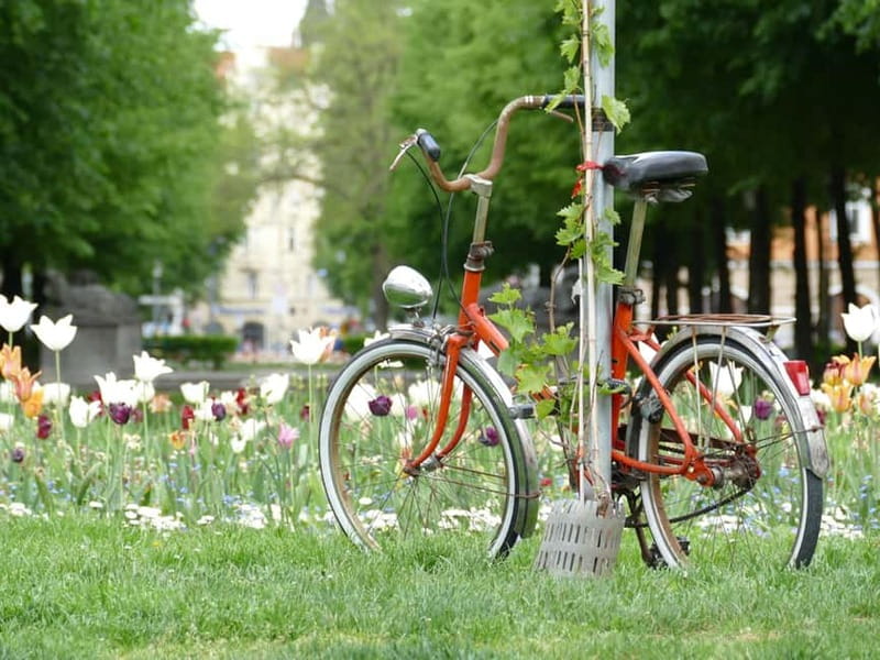 Haidhausen: Insider Tour! Secrets in Munich's French Quarter - The Significance of Beer Cellars & Brickworks