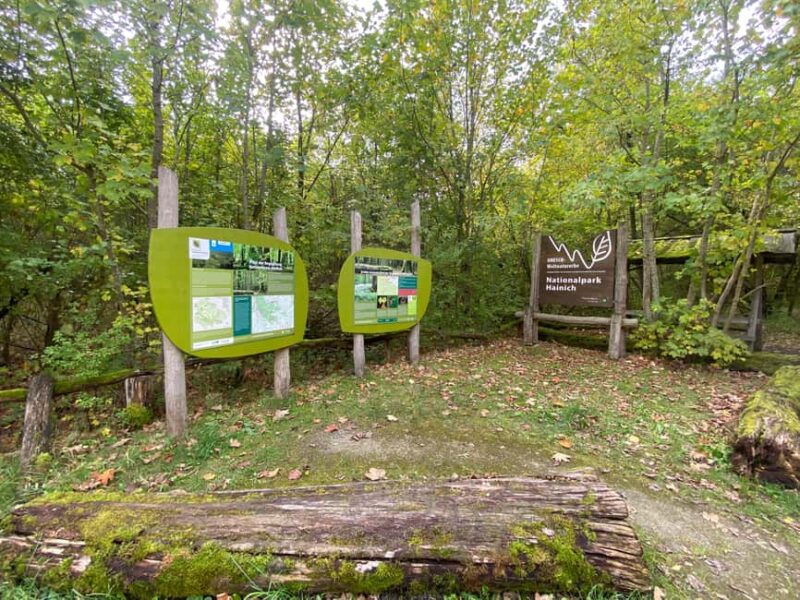 Hainich National Park: Mystery hike in the World Natural Heritage Site - The Challenge and Educational Value