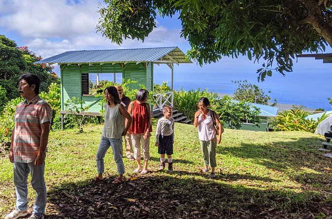 Hala Tree Coffee Farm Tour - Physical Accessibility and Group Size
