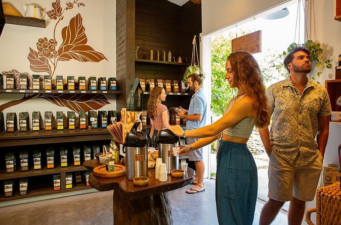 Hala Tree Coffee Farm Tour - The Sum Up: A Compact but Rich Coffee Experience