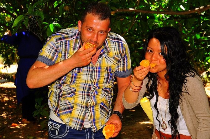 Halal Concept Alanya Cultural Tour with a Licensed Guide - Refreshing Stop at Dim River and Riverside Dining