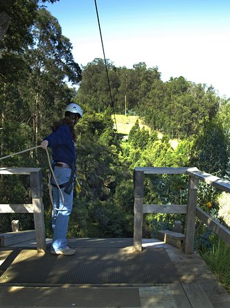 Haleakala 6 Line Zipline Adventure - Physical Requirements and Accessibility Details