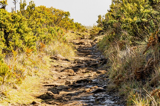 Haleakala Crater Hiking Experience - The Trek: Exploring Both Sides of Haleakala