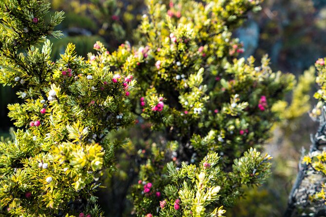 Haleakala Crater Hiking Experience - Pacing and Physical Demands