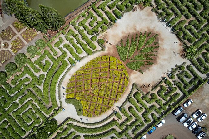 Haleiwa Express & Dole Plantation - Highlights of the Guide and Tour Experience