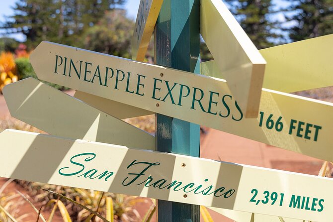 Haleiwa Express & Dole Plantation - Tour Reviews and Overall Satisfaction