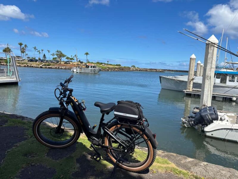 Haleiwa: North Shore Guided Electric Bike Tour - Practical Considerations and Safety