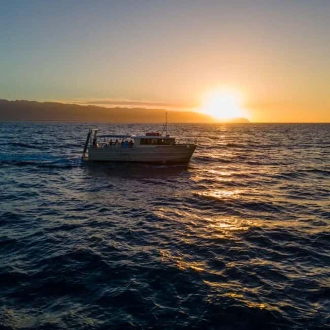 Haleiwa: North Shore Whale Watching Tour by Catamaran - How This Tour Compares to Other North Shore Activities
