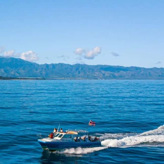 Haleiwa: North Shore Whale Watching Tour by Catamaran - Haleiwa: North Shore Whale Watching Tour - Final Summary