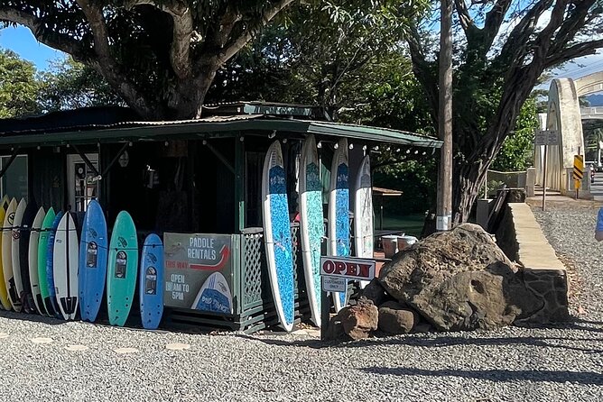 Haleiwa River Paddle Board Rental with Blue Planet Adventure Co. - Weather and Seasonal Considerations