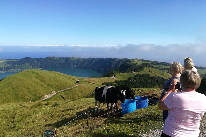 Half Day 4x4 Private tour from Ponta Delgada Azores - The Value and Booking Experience