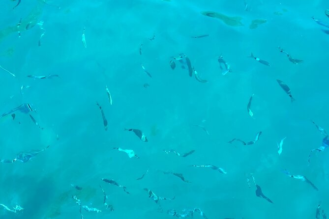 Half-Day Amalfi Coast Boat & Snorkeling Small Group Tour - Included Drinks and Amenities for a Comfortable Trip