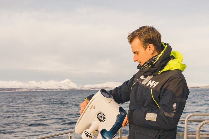 Half Day Arctic Fjord Cruise from Tromso - Discover the Half Day Arctic Fjord Cruise from Tromso