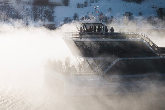 Half Day Arctic Fjord Cruise from Tromso - The Hybrid-Electric Boat Experience