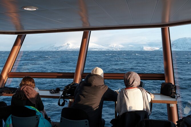 Half Day Arctic Fjord Cruise from Tromso - Stops and Onboard Activities
