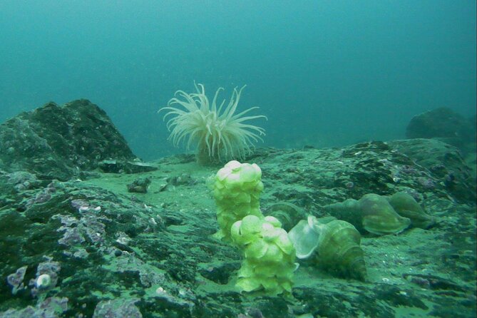 Half Day Arctic Fjord Cruise from Tromso - Weather Considerations and Seasonal Suitability
