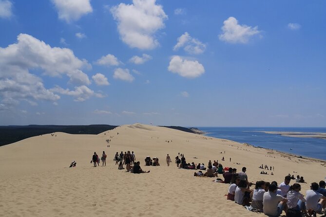 Half day at the Arcachon Bay and the Dune of Pilat - Flexibility and Cancellation Policy