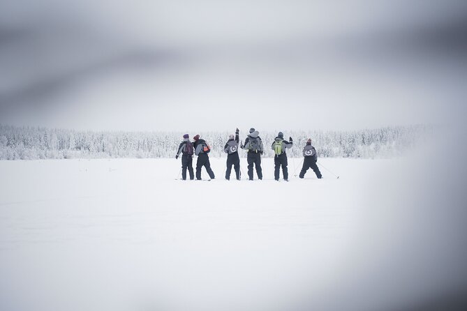 Half-Day Backcountry Skiing Tour in Levi with Photography Guide - Logistics and Group Size for an Intimate Arctic Experience