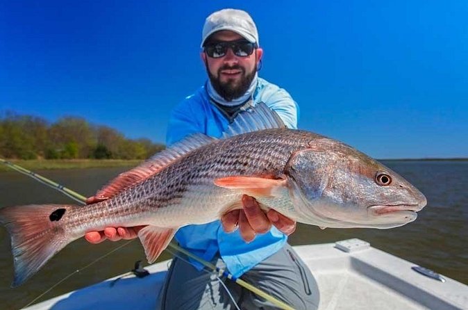 Half-Day Backwater Fishing in Naples, Florida - Weather Considerations and Cancellations