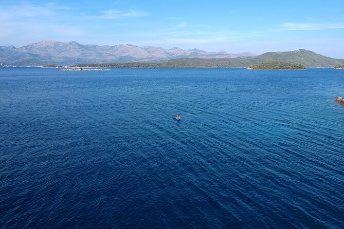 Half-Day Best Beaches & Bays Private Speed Boat Tour - The Guide’s Role and Customer Satisfaction