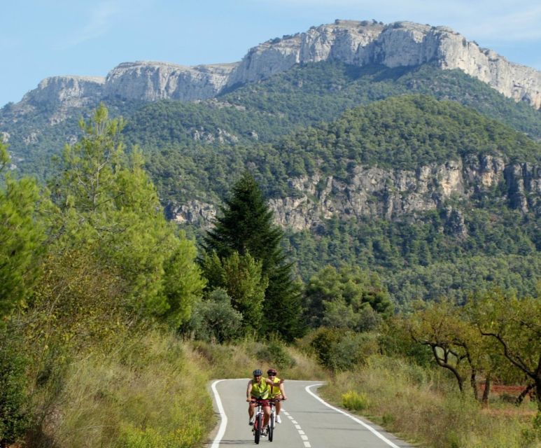Half-Day Bike Tour from Salou - What Makes the Guides Stand Out