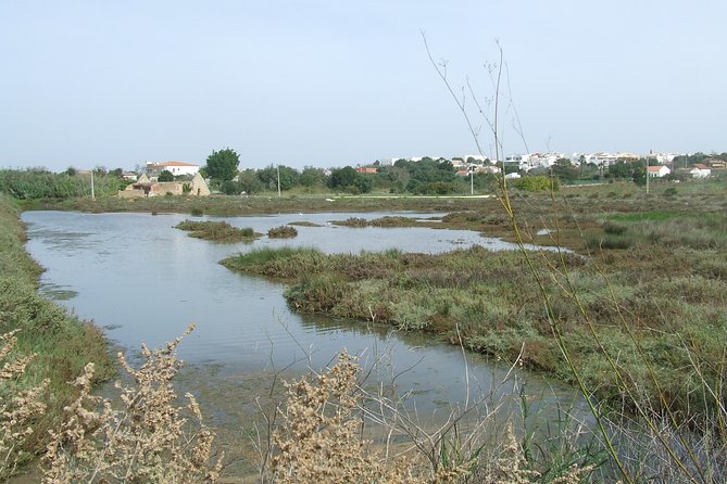 Half-day birdwatching at the Abicada marshed - Starting Point and Timing of the Birdwatching Tour
