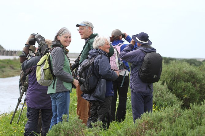Half-day birdwatching at the Abicada marshed - Exploring the Alvor Boardwalk and Wetlands