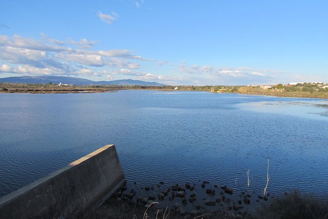 Half-day birdwatching at the Abicada marshed - Weather Considerations and Cancellation Policy