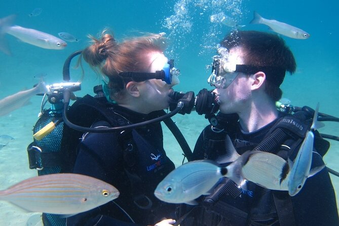 Half day boat diving experience for beginners in Kos Greece - Underwater Encounters and Marine Life