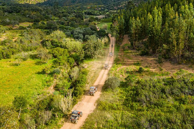 Half Day Buggy Driving and Tour in Algarve - The Role of the Guides and Group Dynamics