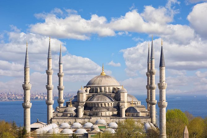 Half Day Byzantine and Ottoman Marvels - Starting Point: Istanbul Port and Professional Guide
