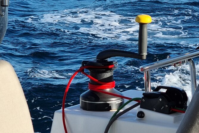 Half Day Catamaran Tour in Algarve - Lagos - Reviews and Guest Satisfaction