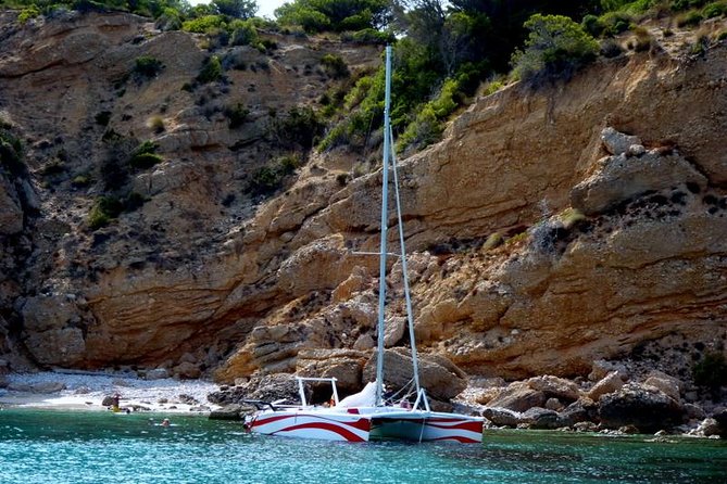 Half-Day Catamaran Trip in Menorca - Starting Point and Meeting Logistics in Fornells