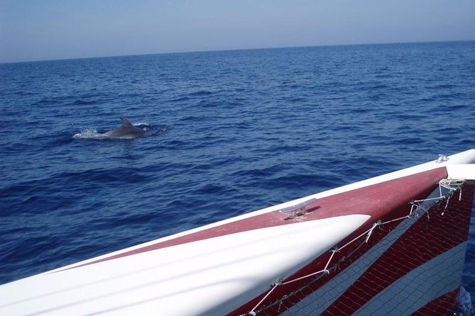 Half-Day Catamaran Trip in Menorca - Weather Conditions and Cancellation Policy