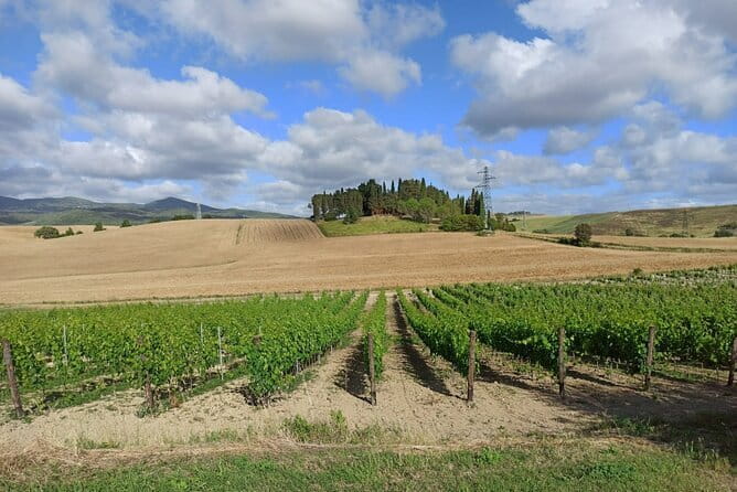 HALF-DAY: Chianti Classic Tour with Wine Experience & visit of San Gimignano - Key Points