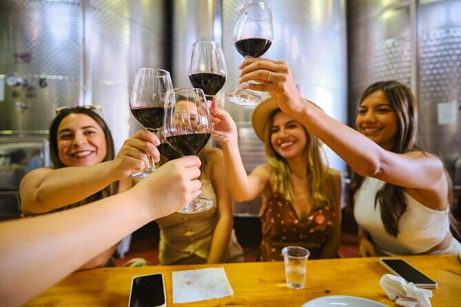 Half day Chianti Vineyard Escape from Florence with Wine Tastings - Value for Money and Optional Purchases