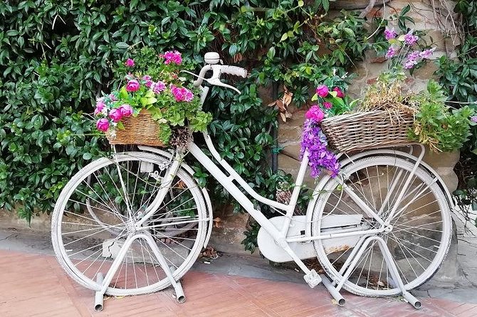 Half-Day Chianti Wine and Olive Oil Tour from Viareggio - Scenic Drive to Vinci and the Tuscan Countryside