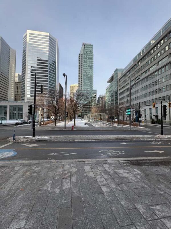 Half day city tour Montreal luxury SUV - Flexibility to Customize Your Montreal Experience