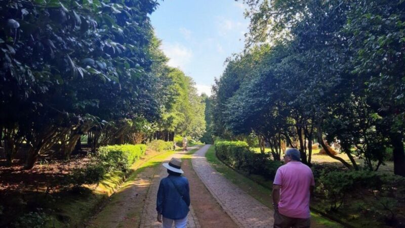 Half-Day Country Market Tour on Madeira Island - Scenic Drive to Cristo Rei and the Panoramic Viewpoint