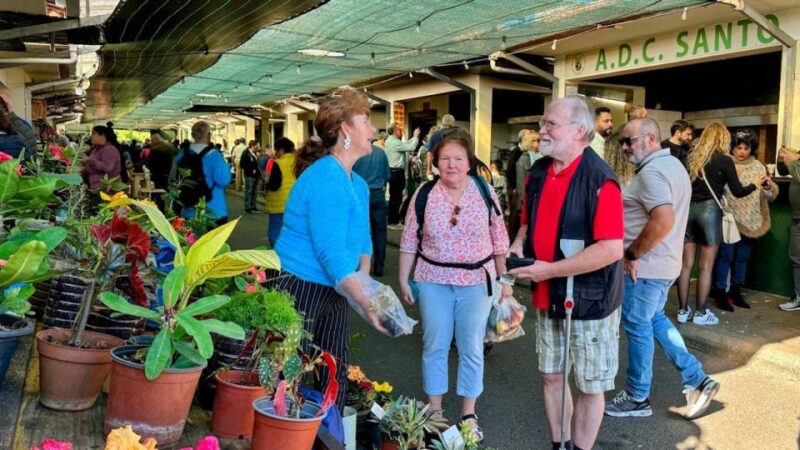 Half-Day Country Market Tour on Madeira Island - Practical Tips for a Smooth Experience