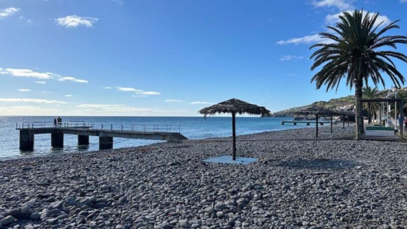 Half-Day Country Market Tour on Madeira Island - The Sum Up: Ideal for a Taste of Madeira’s Local Spirit